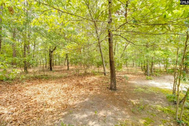 13 Whistling Duck Cove, Lugoff, SC 29078