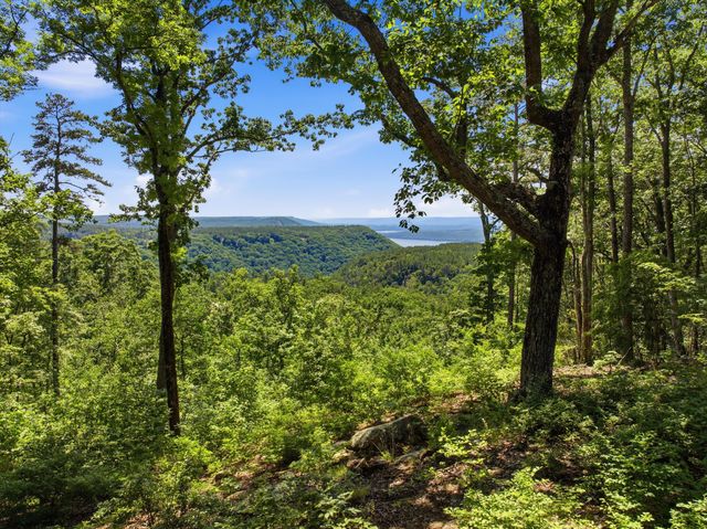 0 Split Rail Way 1180, Guild, TN 37340