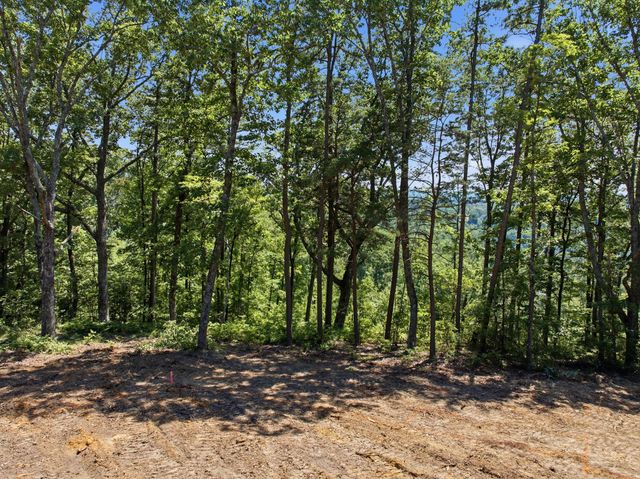 0 Split Rail Way 1180, Guild, TN 37340