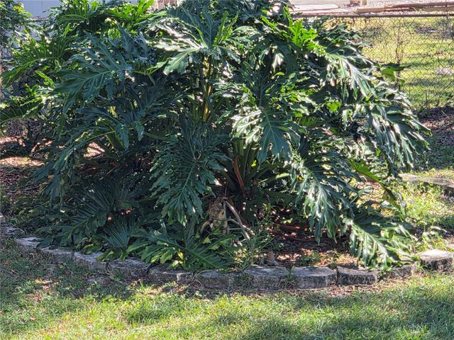 1846 FRUITLAND PARK BOULEVARD, Fruitland Park, FL 34731