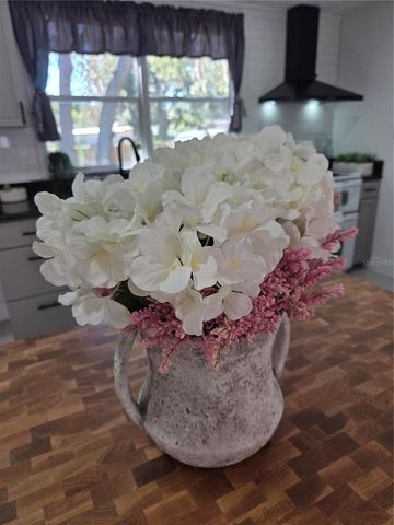 1846 FRUITLAND PARK BOULEVARD, Fruitland Park, FL 34731