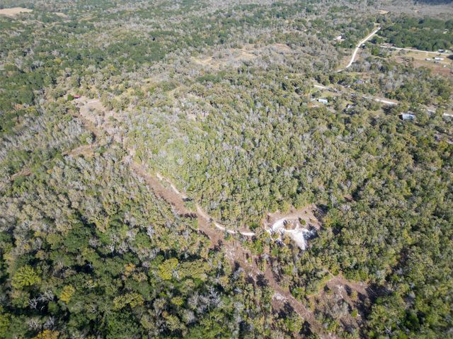 27071 Bedias Drive, Bedias, TX 77831