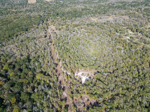 27071 Bedias Drive, Bedias, TX 77831