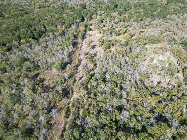 27071 Bedias Drive, Bedias, TX 77831