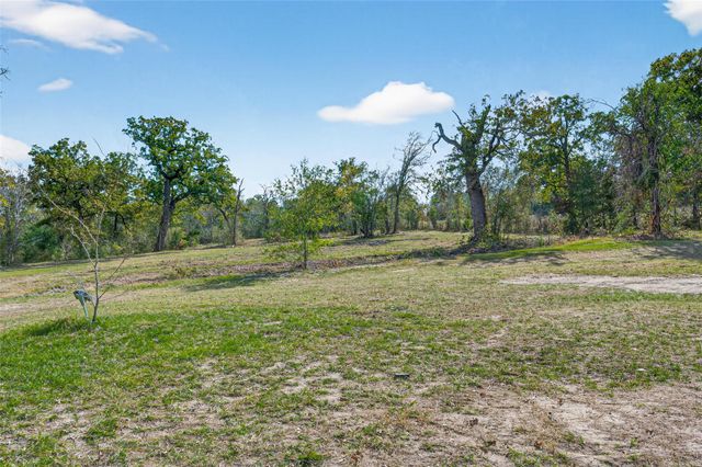 27071 Bedias Drive, Bedias, TX 77831