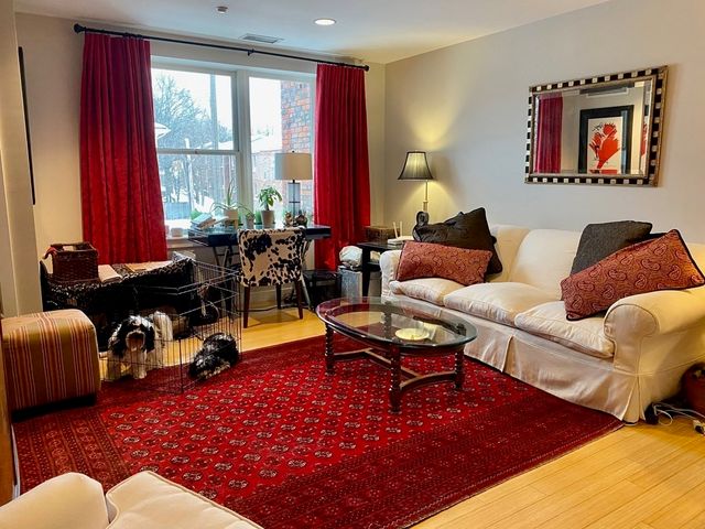 99 Chestnut Hill Ave 202, Boston, MA 02135