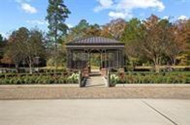 513 Pineal Drive, Montgomery, TX 77316