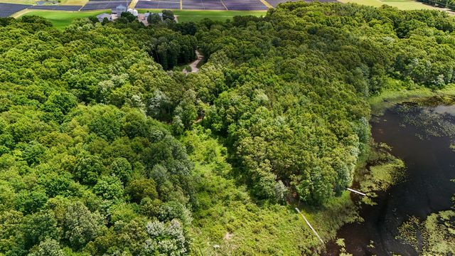 16285 13 Mile Road, Marshall Twp, MI 49014