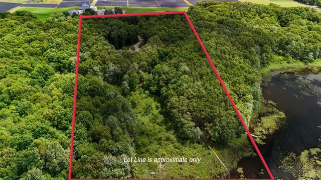 16285 13 Mile Road, Marshall Twp, MI 49014