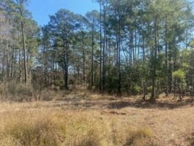 1513 Cheyenne Loop, Conroe, TX 77316