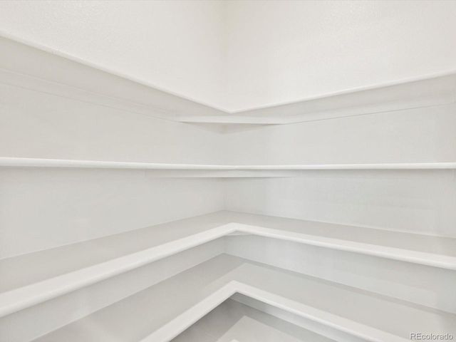 1695 Yampa River Dr, Windsor, CO 80550