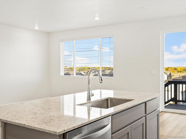 1695 Yampa River Dr, Windsor, CO 80550