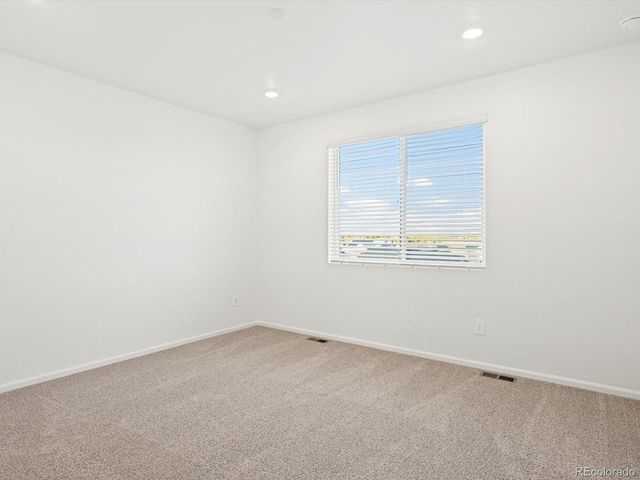 1695 Yampa River Dr, Windsor, CO 80550