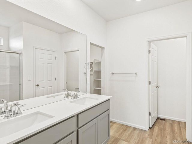 1695 Yampa River Dr, Windsor, CO 80550