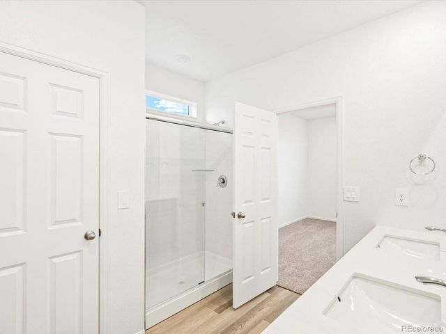 1695 Yampa River Dr, Windsor, CO 80550