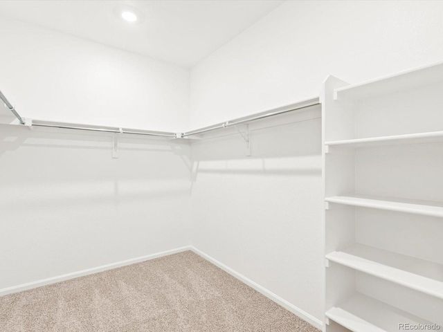 1695 Yampa River Dr, Windsor, CO 80550