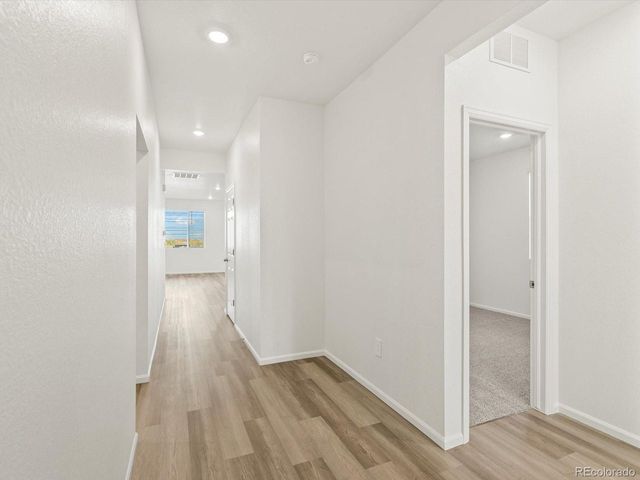 1695 Yampa River Dr, Windsor, CO 80550