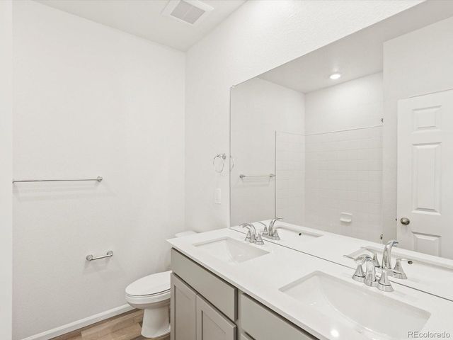 1695 Yampa River Dr, Windsor, CO 80550