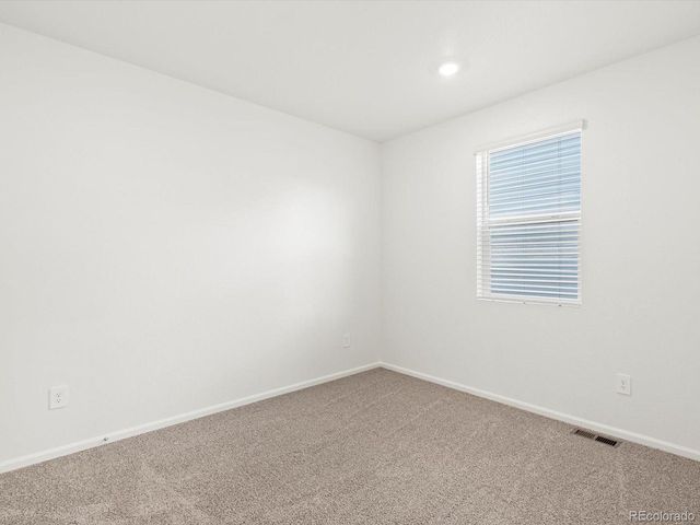 1695 Yampa River Dr, Windsor, CO 80550