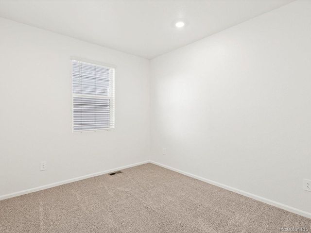 1695 Yampa River Dr, Windsor, CO 80550