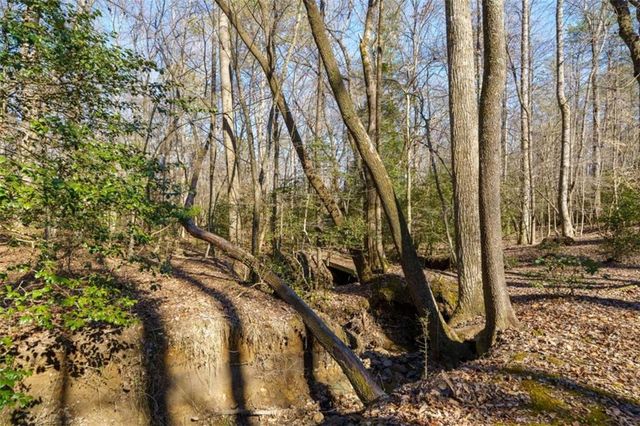 161 Finncannon Drive, Ellijay, GA 30536