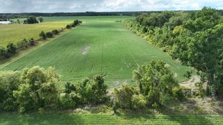 N Whitman Road, Au Gres, MI 48703