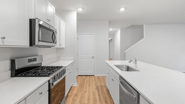210 Hawk Tail Court, Summerville, SC 29486