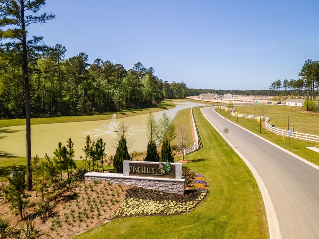 210 Hawk Tail Court, Summerville, SC 29486