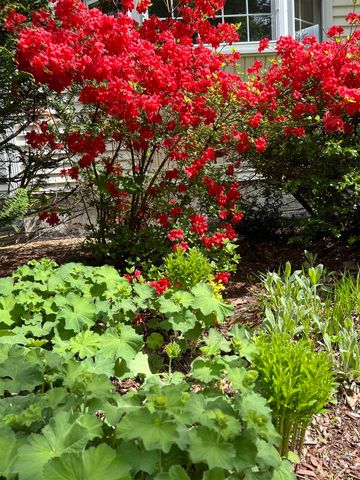 7 Birchwood Drive, Derry, NH 03038