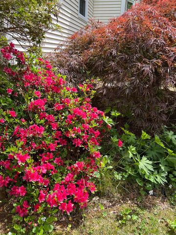 7 Birchwood Drive, Derry, NH 03038