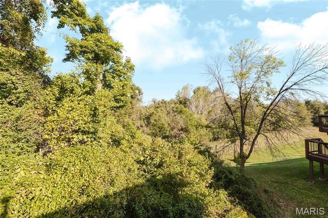 1599 Laurel Bluffs Drive, St Louis, MO 63042