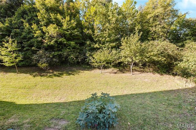 1599 Laurel Bluffs Drive, St Louis, MO 63042