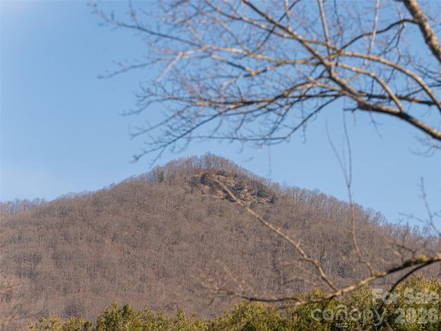 2 Bent Tree Drive, Asheville, NC 28803