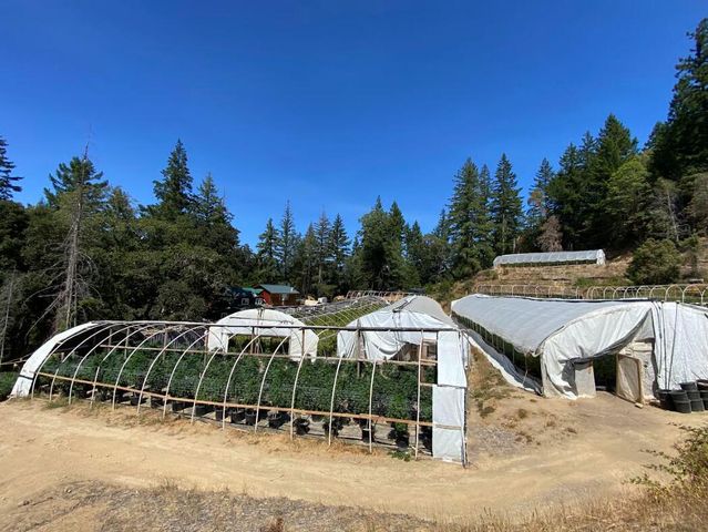 3814 Thomas Road, Miranda, CA 95553