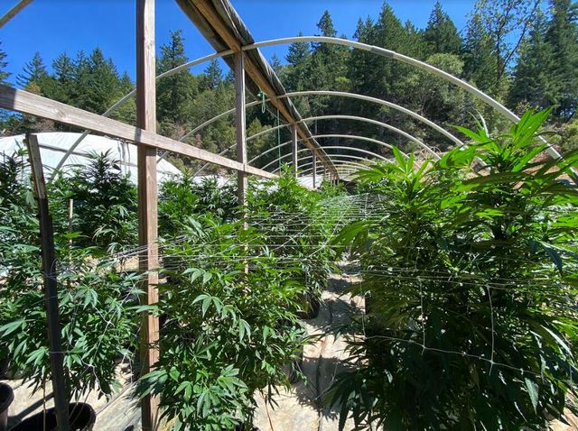 3814 Thomas Road, Miranda, CA 95553