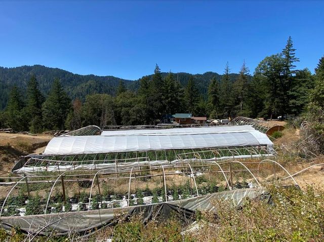 3814 Thomas Road, Miranda, CA 95553