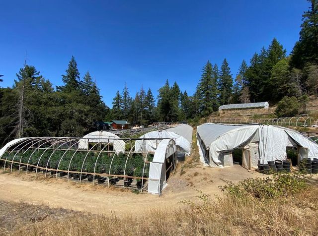 3814 Thomas Road, Miranda, CA 95553