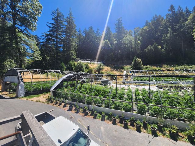 3814 Thomas Road, Miranda, CA 95553