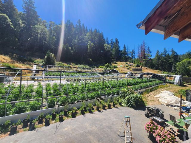 3814 Thomas Road, Miranda, CA 95553