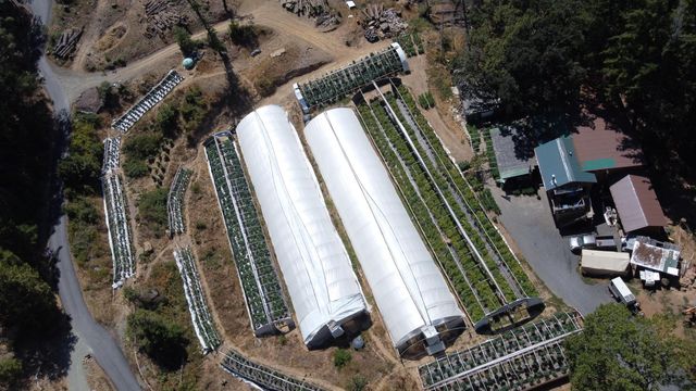 3814 Thomas Road, Miranda, CA 95553