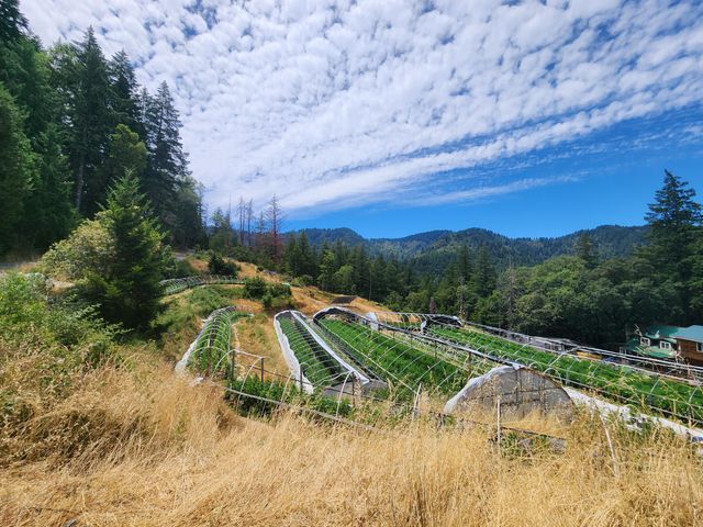 3814 Thomas Road, Miranda, CA 95553