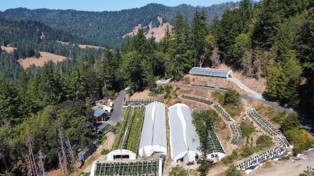 3814 Thomas Road, Miranda, CA 95553