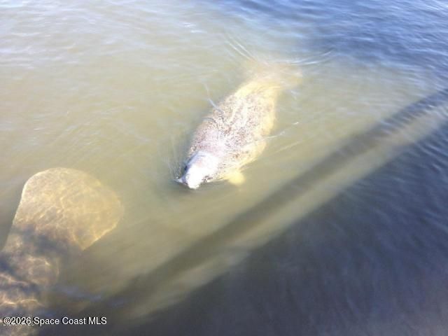 3802 Arrowsmith Drive, Cocoa, FL 32926