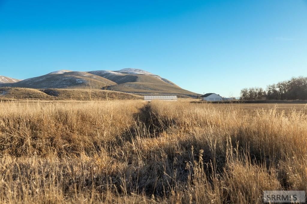 Image 13 of property listing at TBD Patriot Lane, Dingle, ID 83233