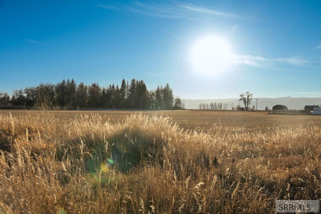 Image 28 of property listing at TBD Patriot Lane, Dingle, ID 83233