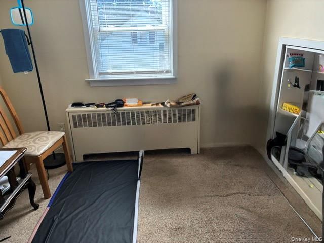 169 W 21st Street, Huntington Station, NY 11746
