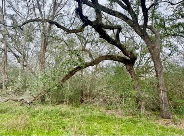 327 County Road 735, Angleton, TX 77515