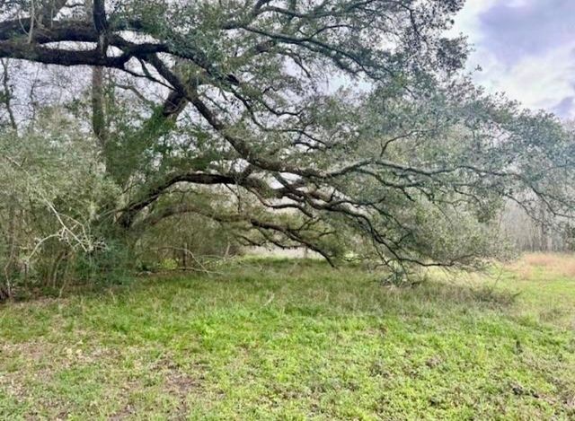 327 County Road 735, Angleton, TX 77515