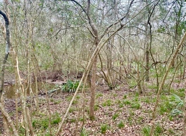 327 County Road 735, Angleton, TX 77515