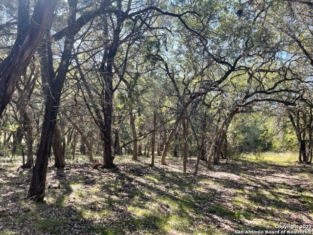 420 Spring St, Spring Branch, TX 78070